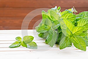 Mint. Bunch of Fresh green organic mint leaf on wooden table closeup. Selective focus. Peppermint in small basket on