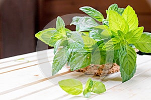 Mint. Bunch of Fresh green organic mint leaf on wooden table closeup. Selective focus. Peppermint in small basket on