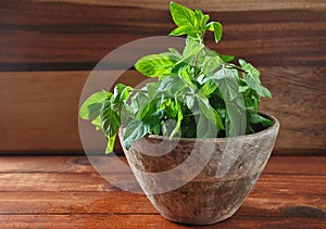 Mint. Bunch of green fresh mint on wooden background