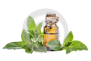 Mint essential oil