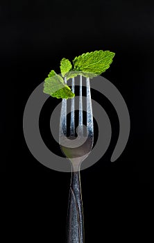 Mint on the fork