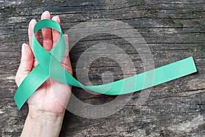 Mint green ribbon awareness for Genetic Disorder, Ivemark Syndrome, Congenital hepatic Fibrosis with bow on hand photo