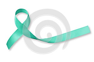 Mint green ribbon awareness for Genetic Disorder, Ivemark Syndrome, Congenital hepatic Fibrosis photo