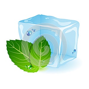 Mint with ice