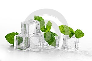 mint and ice cubes on white background photo