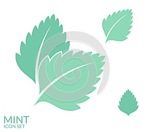 Mint. Icon set. leaves on white background