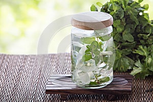 Mint Infuse Water