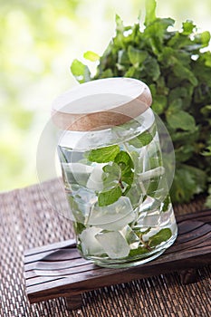 Mint Infuse Water