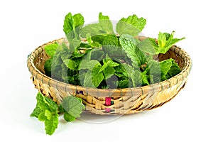 Mint leaf, aromatic herbs