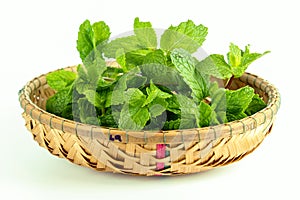 Mint leaf, aromatic herbs