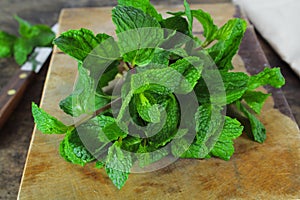 Mint leaf, aromatic herbs