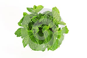 Mint leaf, aromatic herbs