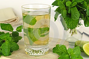 Mint leaf, aromatic herbs