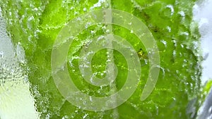 Mint leaf with bubbles through a misted glass.