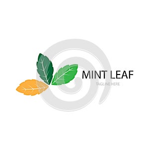 mint leaf illustration logo vector design