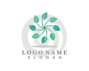 Mint leaf logo and symbol vector.