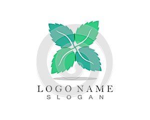 Mint leaf logo and symbol vector.