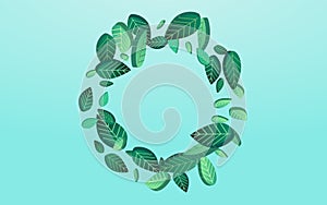 Mint Leaf Tea Vector Blue Background Plant. Tree