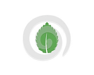 Mint leaf vector icon illustration