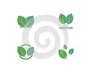 Mint leaf vector icon illustration