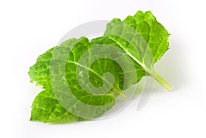 Mint leaves