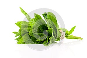 Mint leaves