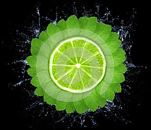 Mint leaves in circle with lime