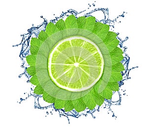 Mint leaves in circle with lime