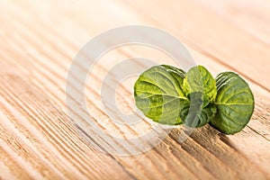 Mint leaves close-up