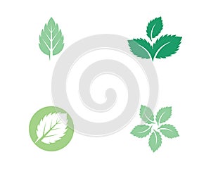 Mint leaves flat vector icon