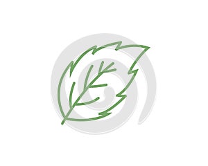 Mint leaves flat vector icon