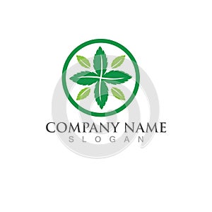 Mint leaves flat vector icon