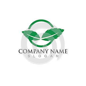 Mint leaves flat vector icon