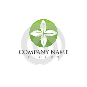 Mint leaves flat vector icon