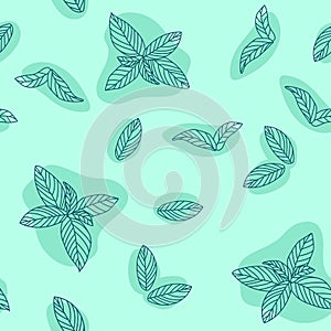 Mint leaves hand drawn vector seamless pattern. Peppermint, spicy herbs, kitchen texture, Doodle cooking ingredient for design pac