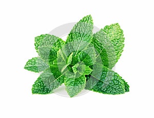 Mint leaves isolated on white