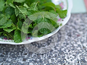 Mint Leaves, The Main Recipe for Thai-Esan Food from Countryside Farm with Natural Light in the morning. Thailand in 2019