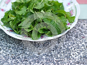 Mint Leaves, The Main Recipe for Thai-Esan Food from Countryside Farm with Natural Light in the morning. Thailand in 2019