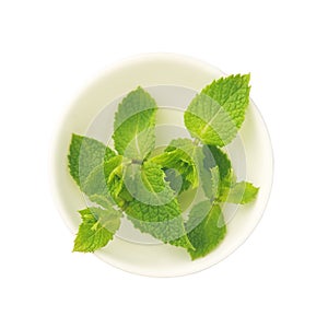 Mint leaves in a saucer on a white background