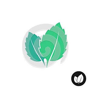 Mint leaves vector logo. Two leaves of a mint. photo