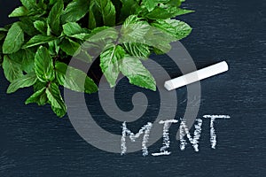 Mint leaves and the word