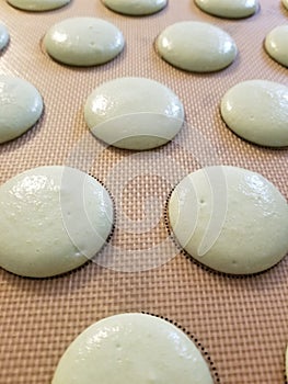 Mint macaron shells about to go in the oven