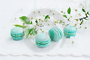 Mint macaroons and blooming cherry flowers at vintage lace doily