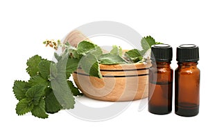 Mint oil photo