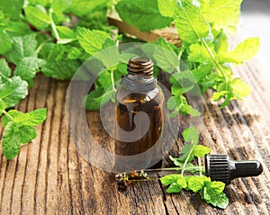Mint oil/essence in black bottle with mint leaves