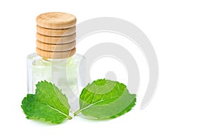 Mint oil. Natural herbal medical aromatic plant concept.