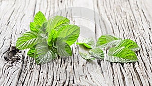 Mint plant on wooden background