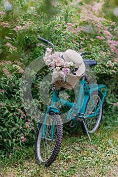 A mint retro Bicycle with a straw hat on the handlebars and peonies in a basket, stands in the middle of a beautiful garden