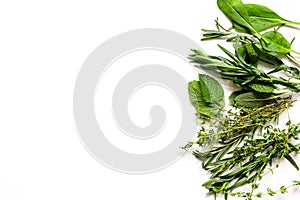 Mint, sage, rosemary, thyme - aromatherapy white background