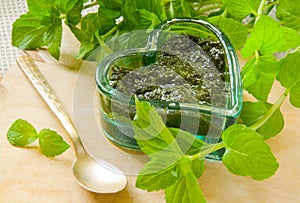 Menta salsa 